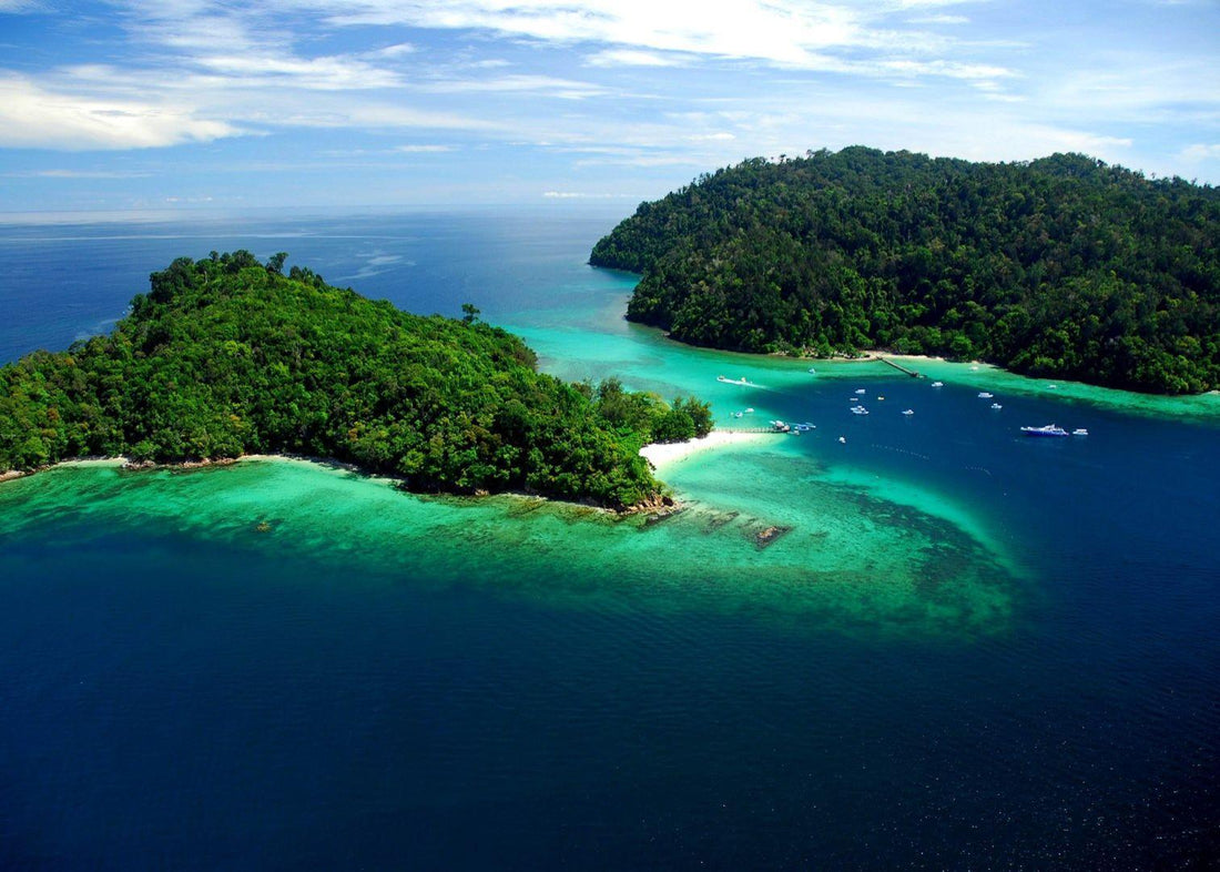 Borneo (Indonesia) - Misswood