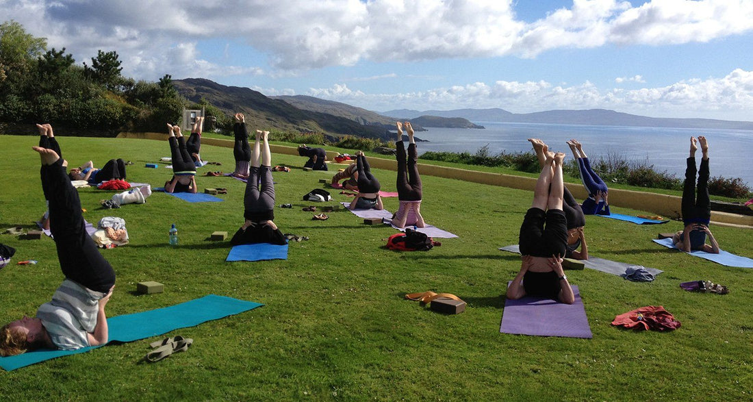 Dzogchen Beara - Misswood