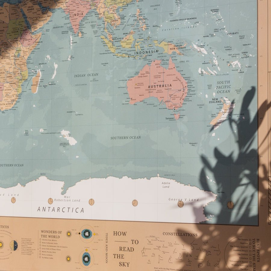 Lámina Mapamundi - Woody Map Poster - Misswood