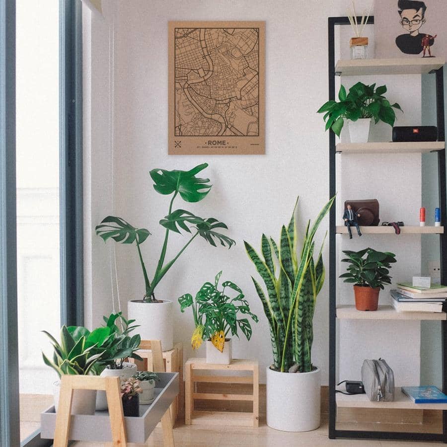 Mapa de corcho - Woody Map Natural Roma - Misswood